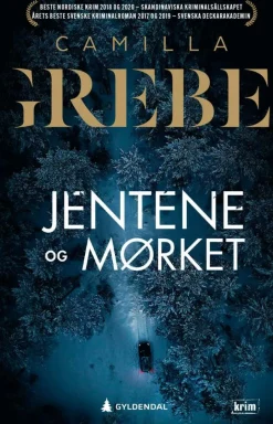 Camilla Grebe: Jentene og mørket