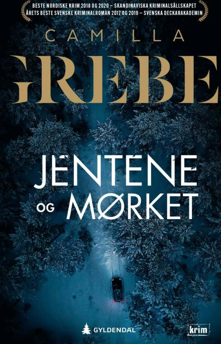 Camilla Grebe: Jentene og mørket