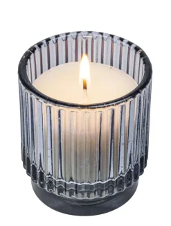 Citronella mygglys
