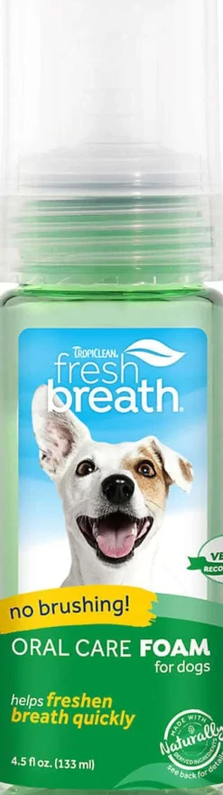 Fresh Mint Foam 133ml