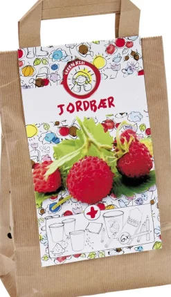 Gavebag såsett m/jordbærfrø