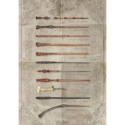 Harry Potter™ The Wands plakat