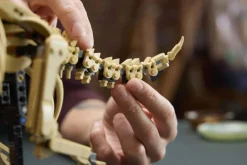 LEGO® Jurassic World Dinosaurfossiler: Triceratops 77985