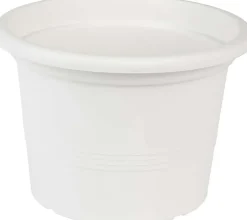 Odle Camelie dyrkepotte