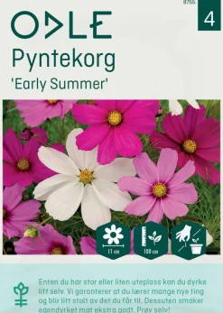 Odle 'Early Summer' pyntekorg frø