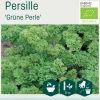 Odle 'Grüne Perle' persille frø